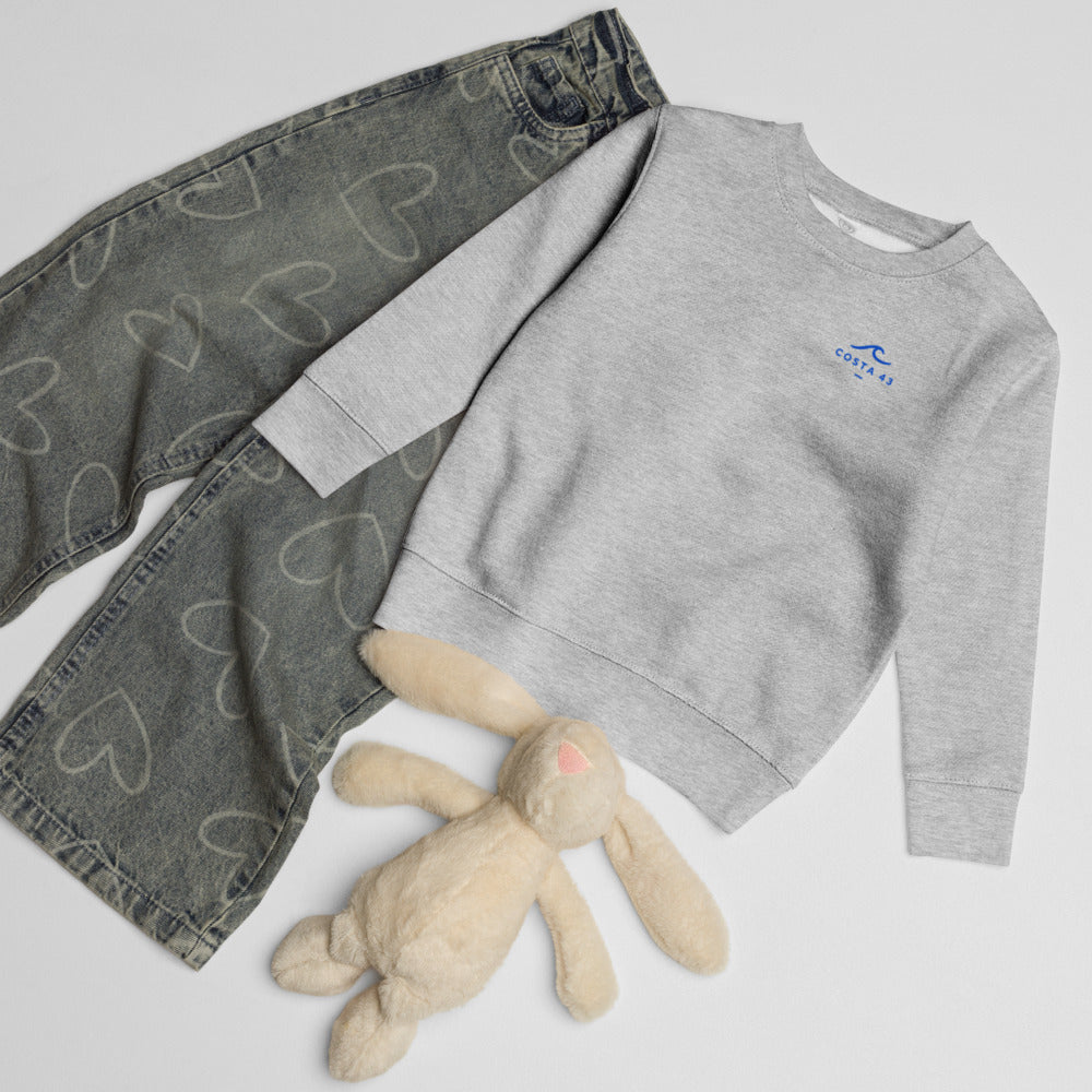 Sudadera Bandon Beach niño gris de Costa 43, puesta
